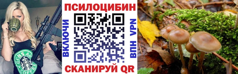 Купить закладки  Чулым  Галлюциногенные грибы ЛСД 